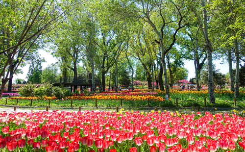 Our Work - Strathclyde Worldwide Ltd